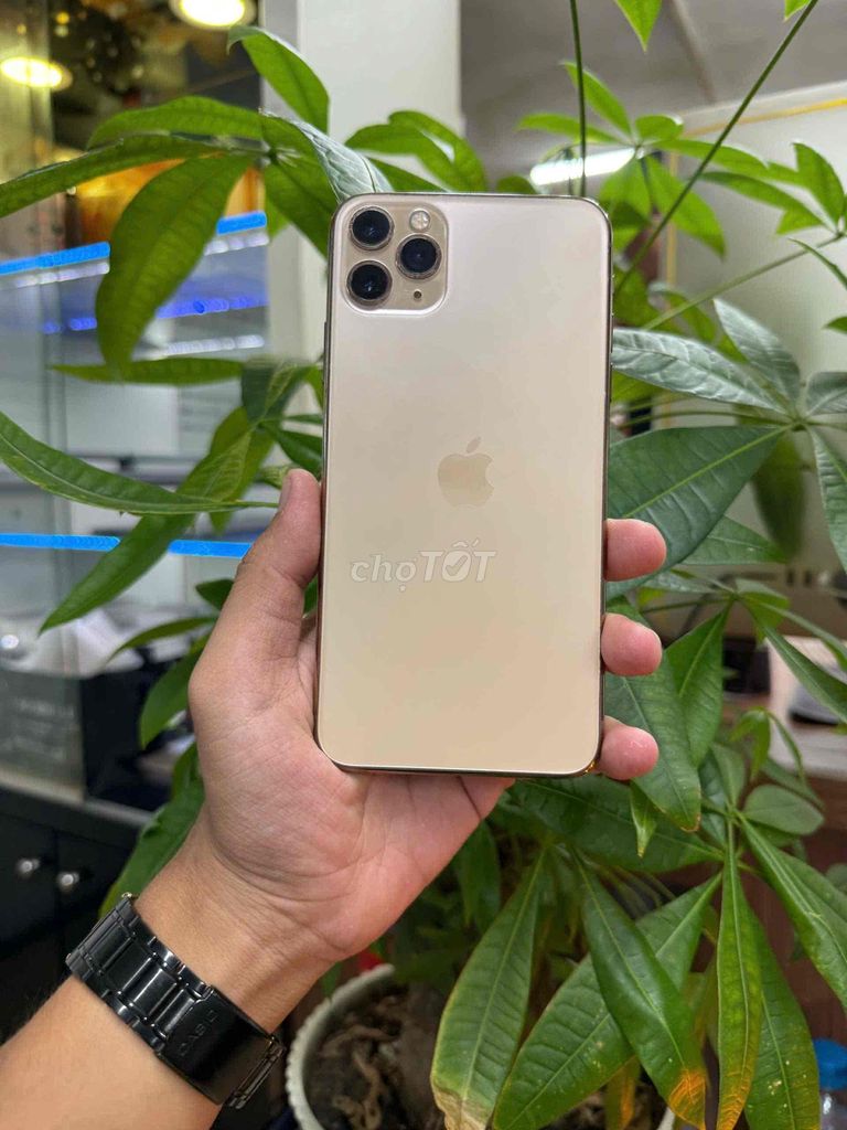 Apple iPhone 11 Pro Max 64GB Vàng Hư Face ID. Mua bán Điện thoại tại Quận 7 Tp Hồ Chí Minh được đăng bởi mrlao hình 1
