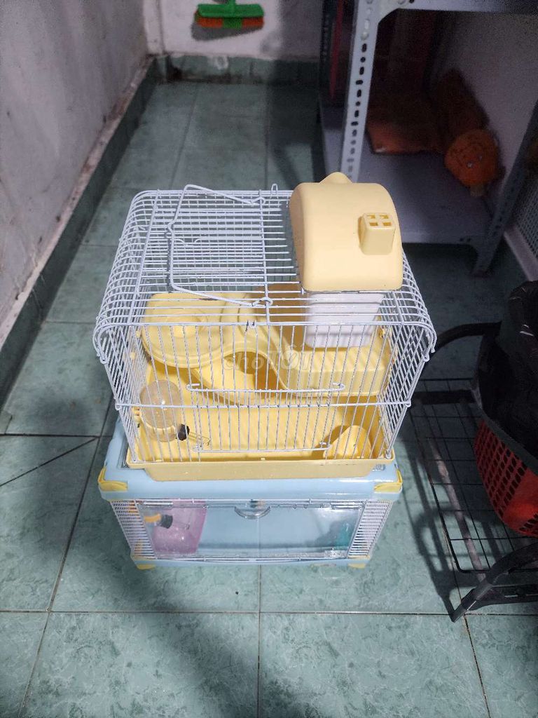 Lồng nuôi thú cưng Hamster Nhựa. Mua bán Phụ kiện, Thức ăn, Dịch vụ tại Quận Tân Bình Tp Hồ Chí Minh được đăng bởi hải hải hình 1