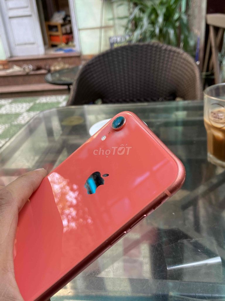 iPhone XR 64GB Hồng. Mua bán Điện thoại tại Quận Cầu Giấy Hà Nội được đăng bởi Alibaba hình 1