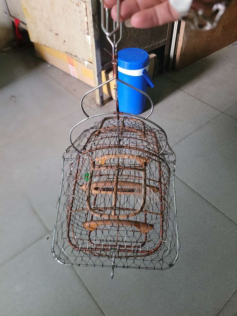 Lồng bẫy chim Kim loại. Mua bán Phụ kiện, Thức ăn, Dịch vụ tại Quận 3 Tp Hồ Chí Minh được đăng bởi Long Calvin hình 1