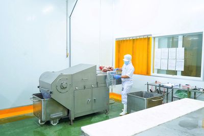 Công Nhân Pha Lóc Thịt Heo Ca đêm