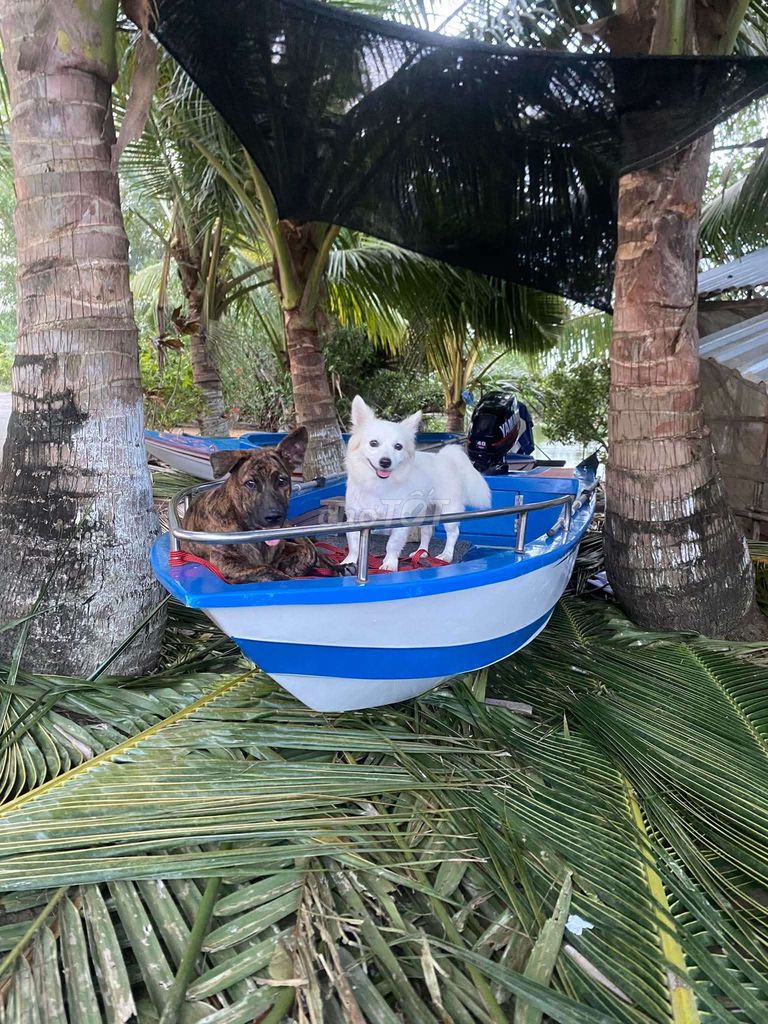 bán ca nô. Mua bán Xe máy tại Huyện Hồng Dân Bạc Liêu được đăng bởi chí hình 1