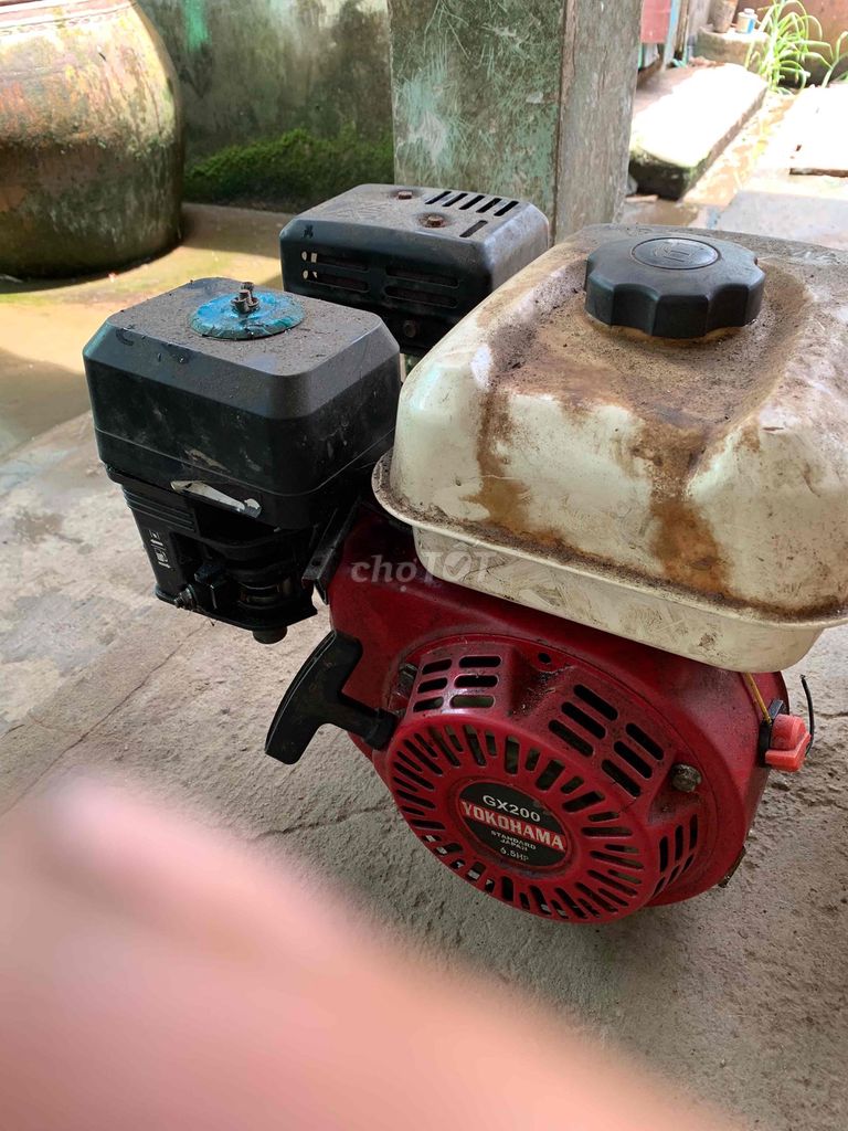 Yokohama gx200 6.5hp. Mua bán Đồ chuyên dụng, Giống nuôi trồng tại Huyện Châu Thành Sóc Trăng được đăng bởi Hoang  hình 1