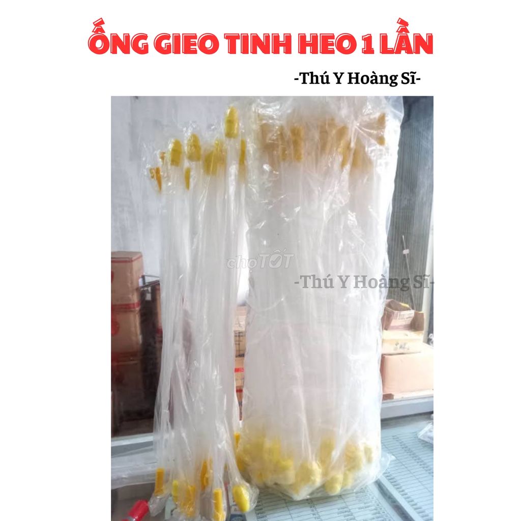 ống gieo tinh heo 1 lần (3 ống)