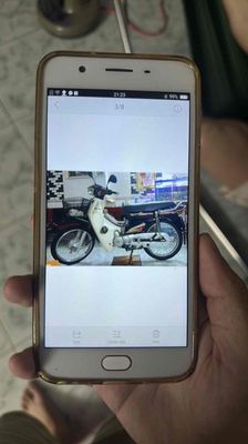 Cần bán Dream Thái bao máy móc zin. Mua bán Xe máy tại Thị xã Gò Công Tiền Giang được đăng bởi Thanh Tùng