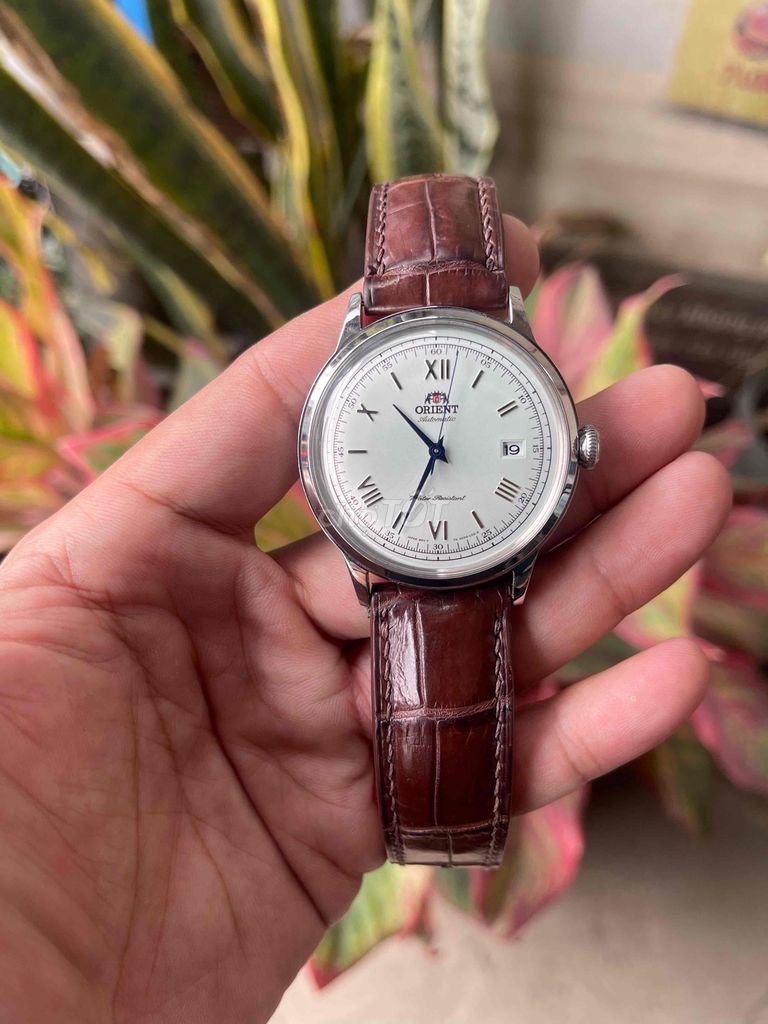 Đồng hồ Orient Bambino Gen 2 Nam Nâu 40.5mm. Mua bán Đồng hồ tại Quận Ninh Kiều Cần Thơ được đăng bởi Phong Watch hình 1