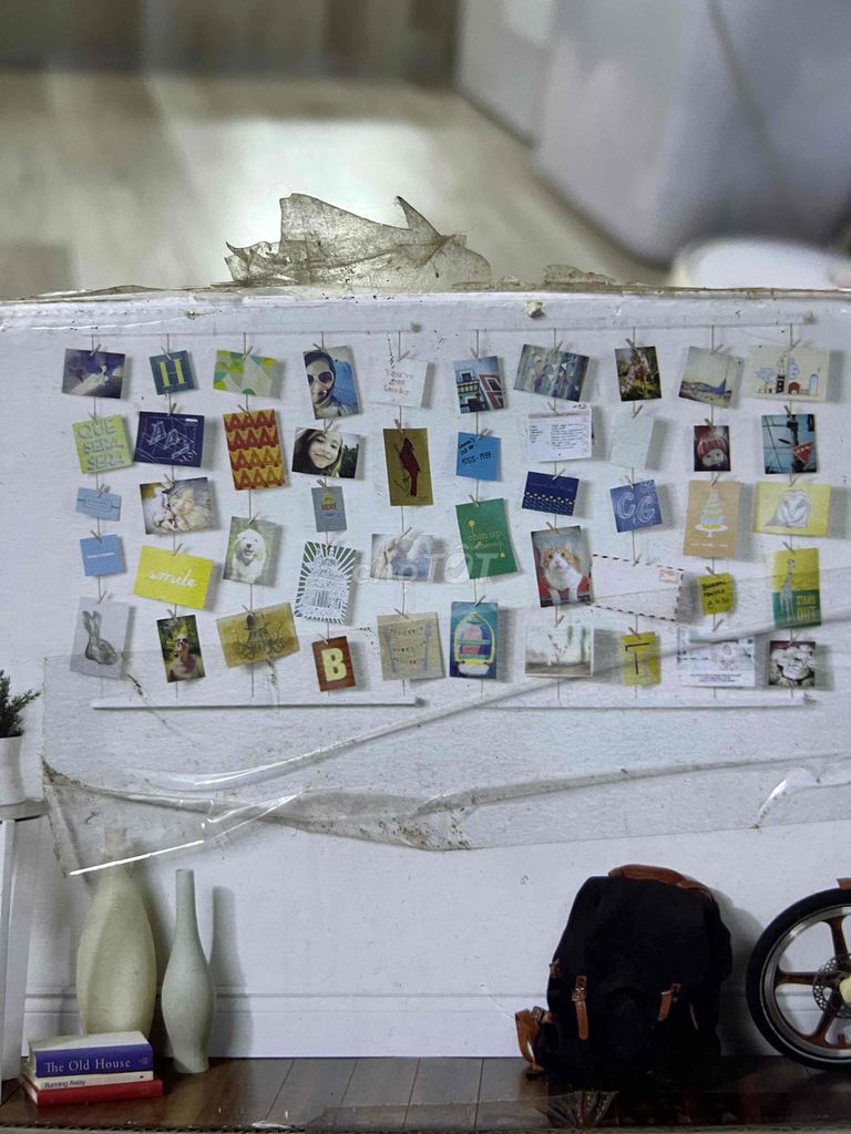 Khung tranh trang trí ảnh mới 100%