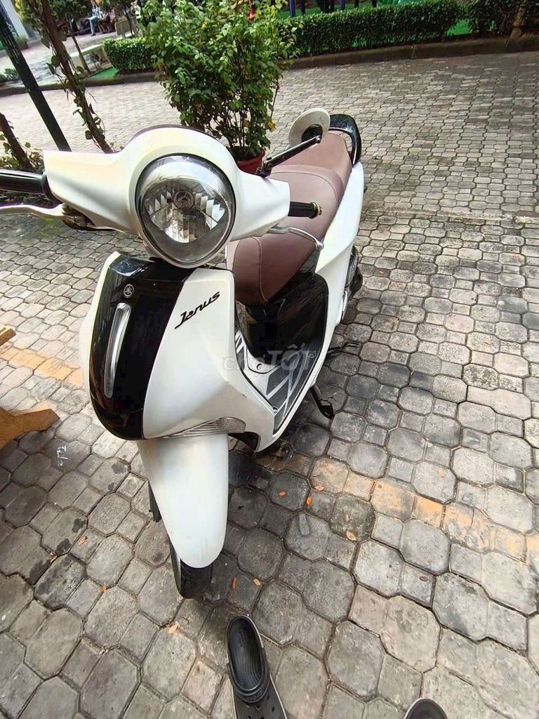 Janus 2019 keng máy bao êm. Mua bán Xe máy tại Huyện Chợ Lách Bến Tre được đăng bởi le văn dũng  hình 1