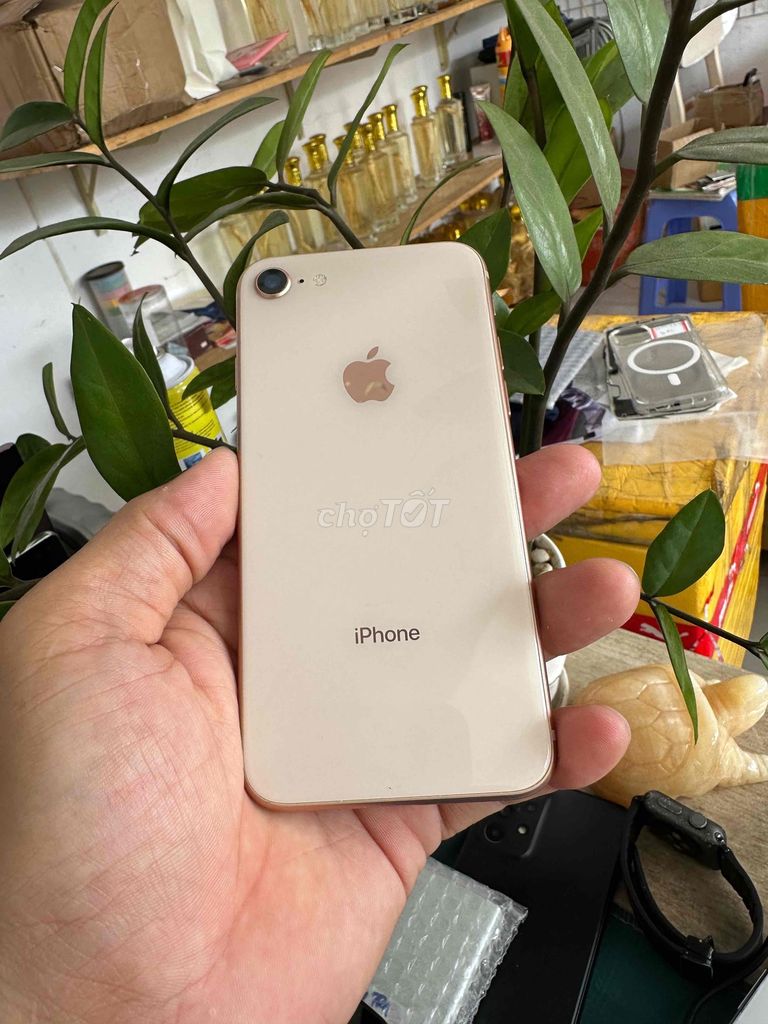 Apple iPhone 8 256GB Vàng hồng. Mua bán Điện thoại tại Thành phố Dĩ An Bình Dương được đăng bởi junstar store hình 1