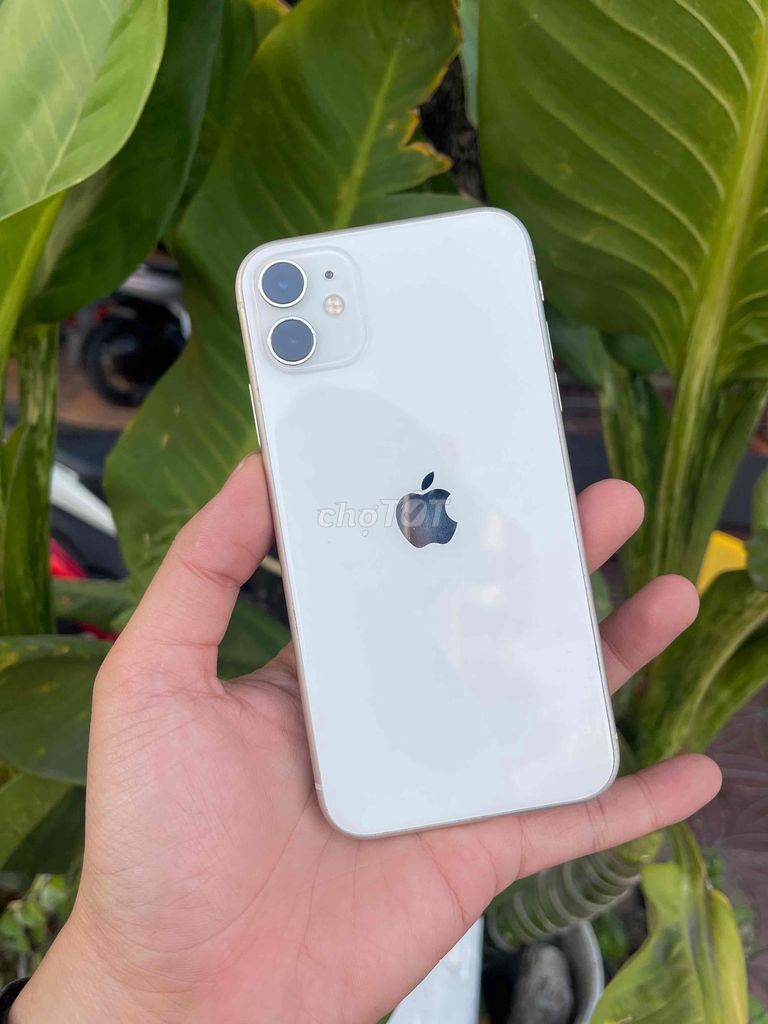 IPhone 11 64GB Trắng Qte Màn thay zin đẹp 98%