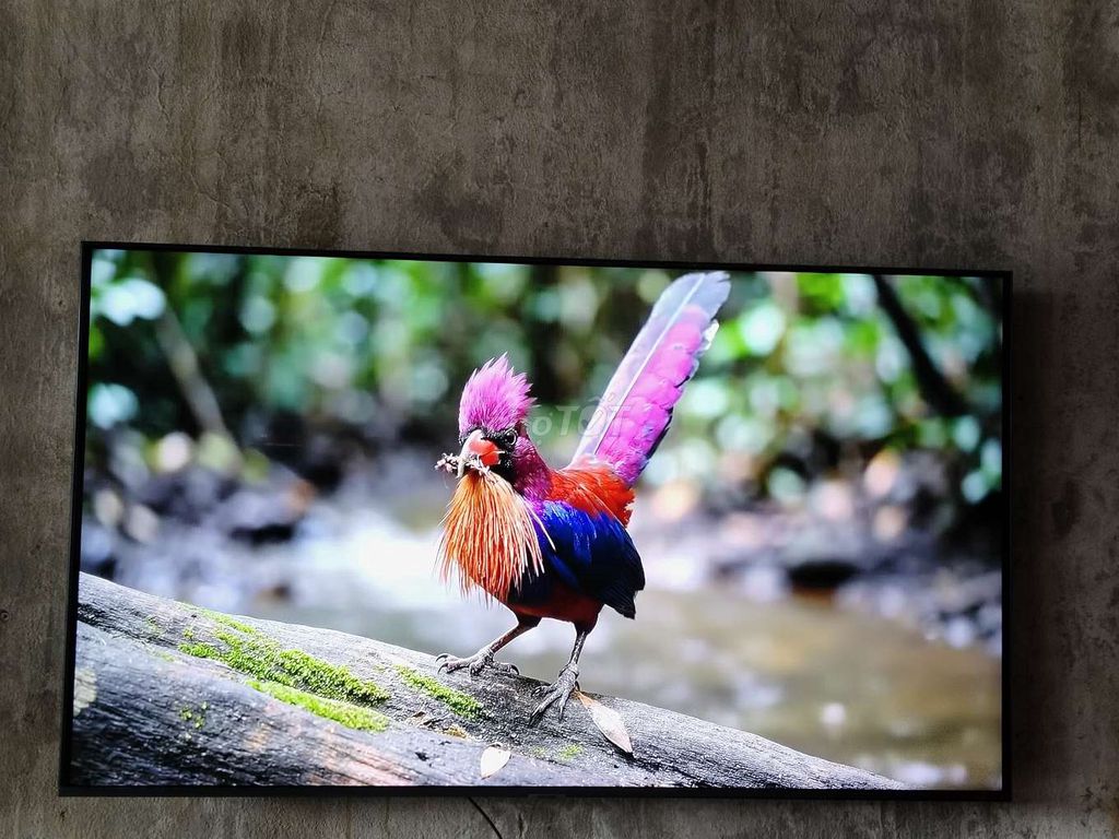 Tivi Samsung 50TU8100 50 inch. Mua bán Tivi, Âm thanh tại Quận Ngũ Hành Sơn Đà Nẵng được đăng bởi Bơ hình 1