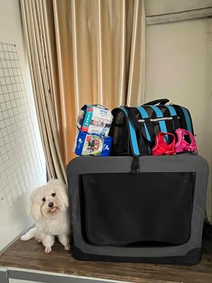 thanh lý chuồng lều cho chó <5kg. Mua bán Phụ kiện, Thức ăn, Dịch vụ tại Quận Thanh Xuân Hà Nội được đăng bởi Đinh Văn Đạt