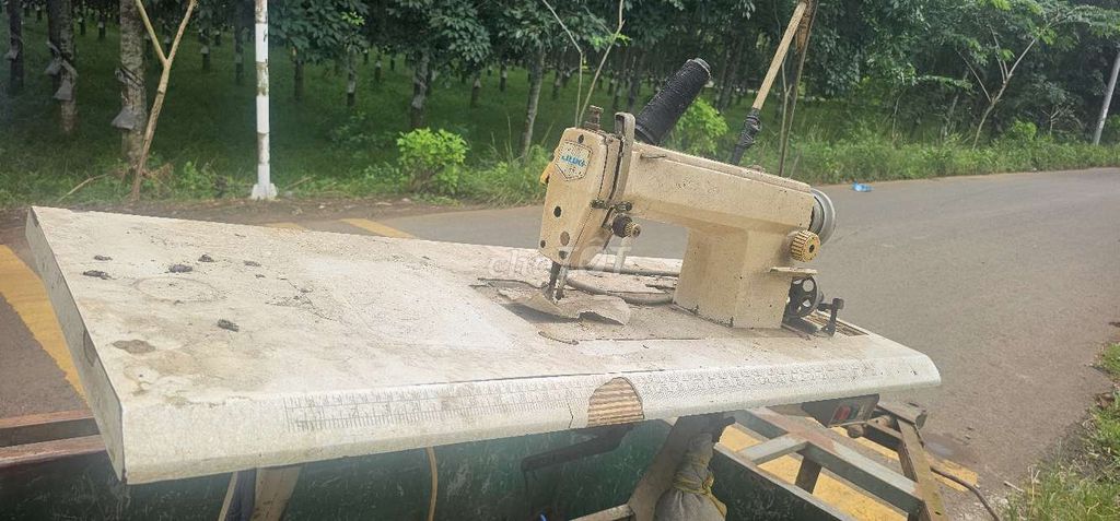 Máy may công nghiệp Juki Motor bàn đạp Kem. Mua bán Đồ chuyên dụng, Giống nuôi trồng tại Huyện Thống Nhất Đồng Nai được đăng bởi Máy móc cũ bao test hình 1