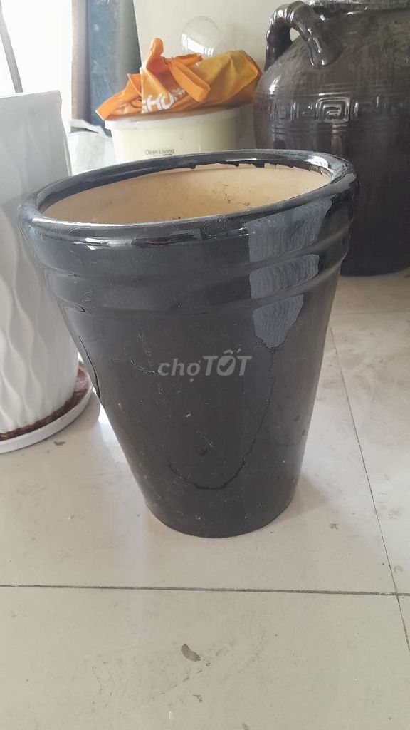 THANH LÝ CHẬU CÂY CẢNH NHƯ HÌNH CÒN RẤT TỐT