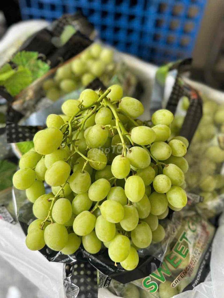 Nho xanh Mỹ. Mua bán Đồ ăn, thực phẩm và các loại khác tại Quận Tân Bình Tp Hồ Chí Minh được đăng bởi Ngân Nguyễn hình 1
