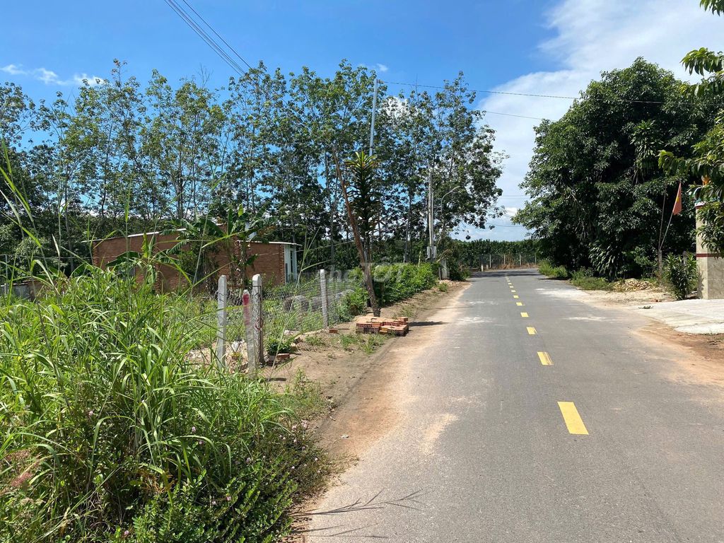 Cần Tiền Đáo Hạn Ngân Hàng Bán Đất Bàu Bàng Giá 430 triệu DT: 508m2
