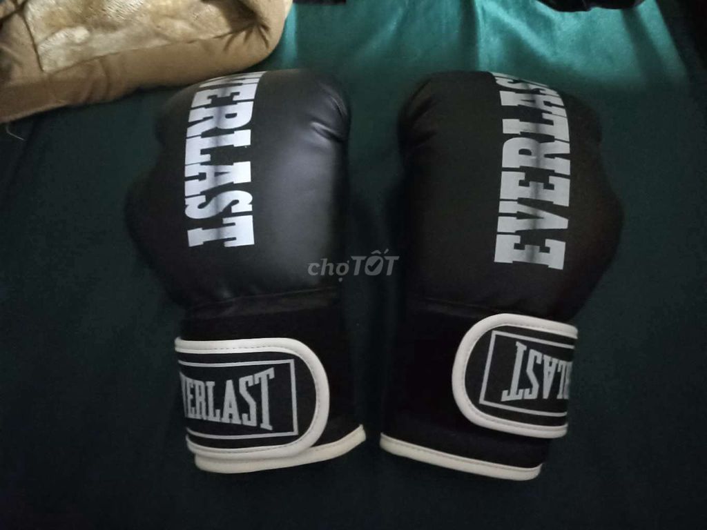 Găng boxing everlast