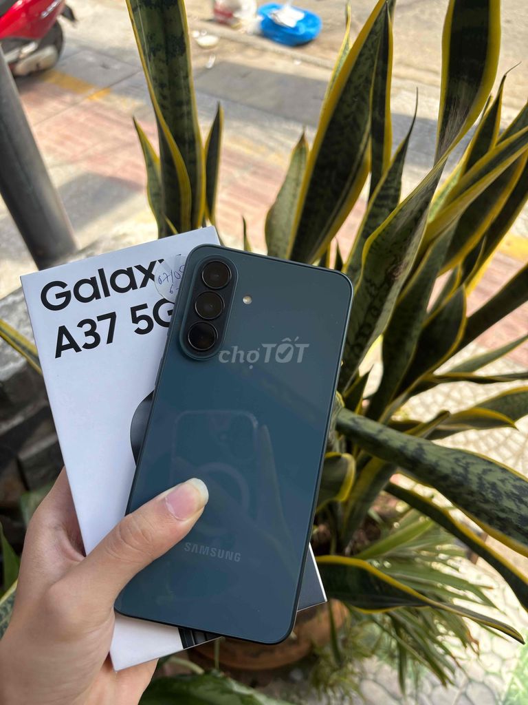 Samsung Galaxy A37 5G Xanh 6GB/128GB Mới. Mua bán Điện thoại tại Quận Thanh Khê Đà Nẵng được đăng bởi Trần Thanh Phúc hình 1