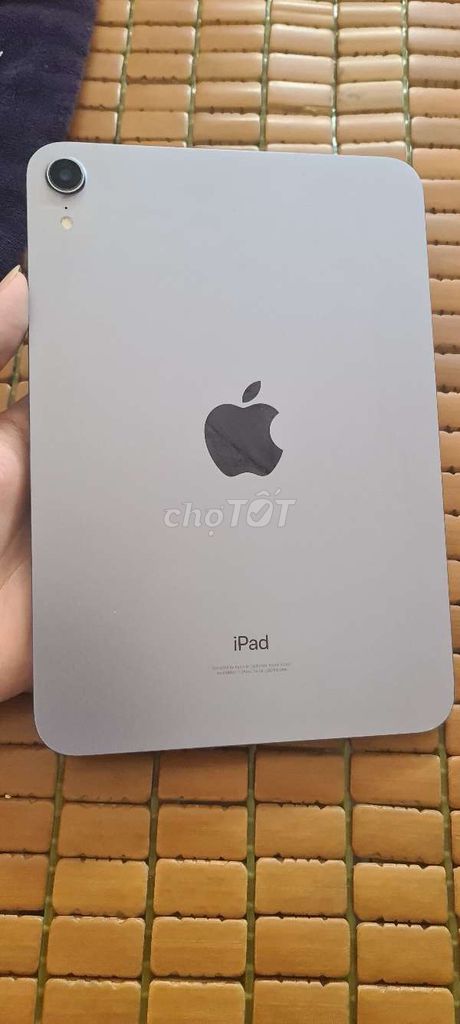 Apple iPad Xám. Mua bán Máy tính bảng tại Thị xã Hương Thủy Thừa Thiên Huế được đăng bởi Sơn Nguyễn hình 1