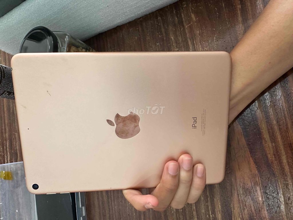 Ipad mini 5 thanh lý