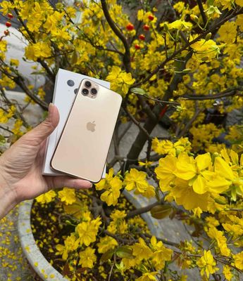 Apple iPhone 11 Pro Max 64GB Vàng