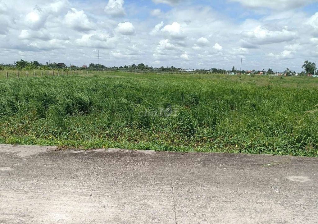 Sở hữu 1960m2 có 200m2 thổ cư CHỈ 1.8 TỶ. Mua bán đất tại Huyện Tân Trụ Long An được đăng bởi nguyễn anh tuấn hình 3
