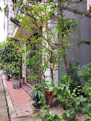 Cho thuê nhà mới nguyên căn, 3 tầng, 3PN 2VS có gara ô tô ĐT Hoà Vượng. Cho thuê nhà ở tại Thành phố Nam Định Nam Định được đăng bởi tranhanh