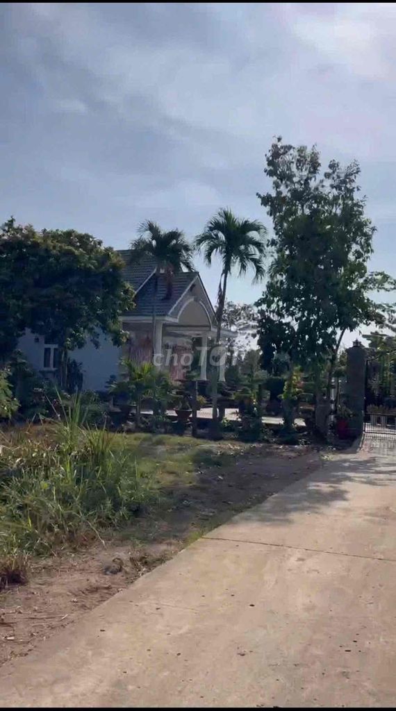 Bán đất rẻ 423 m2 full thổ cư ngay trung tâm thương mại tỉnh Long An. Mua bán đất tại Huyện Tân Trụ Long An được đăng bởi THANH TÙNG hình 5