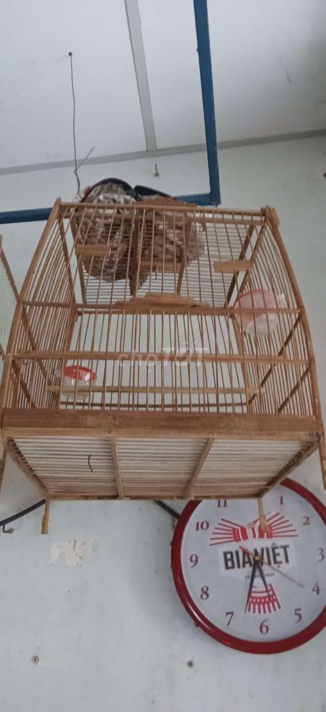 Lồng chim chào mào gỗ. Mua bán Phụ kiện, Thức ăn, Dịch vụ tại Huyện Củ Chi Tp Hồ Chí Minh được đăng bởi nghèo mà có tình  hình 1