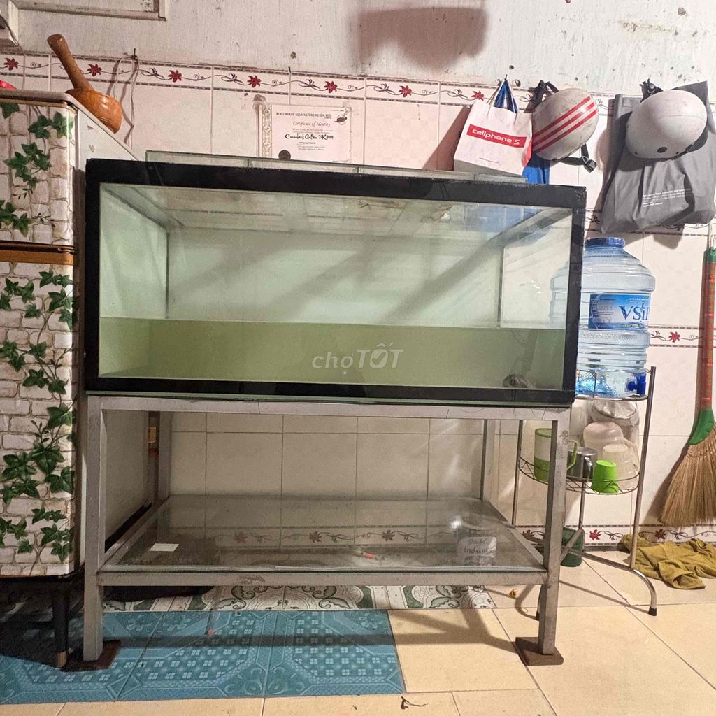 Bể cá cảnh Kính, Kim loại. Mua bán Phụ kiện, Thức ăn, Dịch vụ tại Thành phố Thủ Dầu Một Bình Dương được đăng bởi Cân hình 1