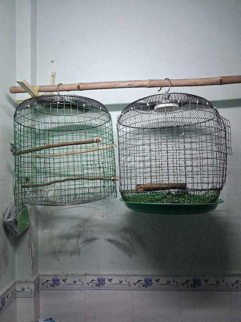 Lồng chim gl chim. Mua bán Phụ kiện, Thức ăn, Dịch vụ tại Quận 12 Tp Hồ Chí Minh được đăng bởi Trà Đá hình 1