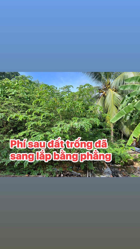 Đất Sạch TẶNG KÈM NHÀ CẤP 4