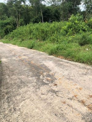 CHÍNH CHỦ BÁN ĐÂT TRUNG TÂM LONG TÂN, NHƠN TRẠCH. Mua bán đất tại Huyện Nhơn Trạch Đồng Nai được đăng bởi Thuy Do