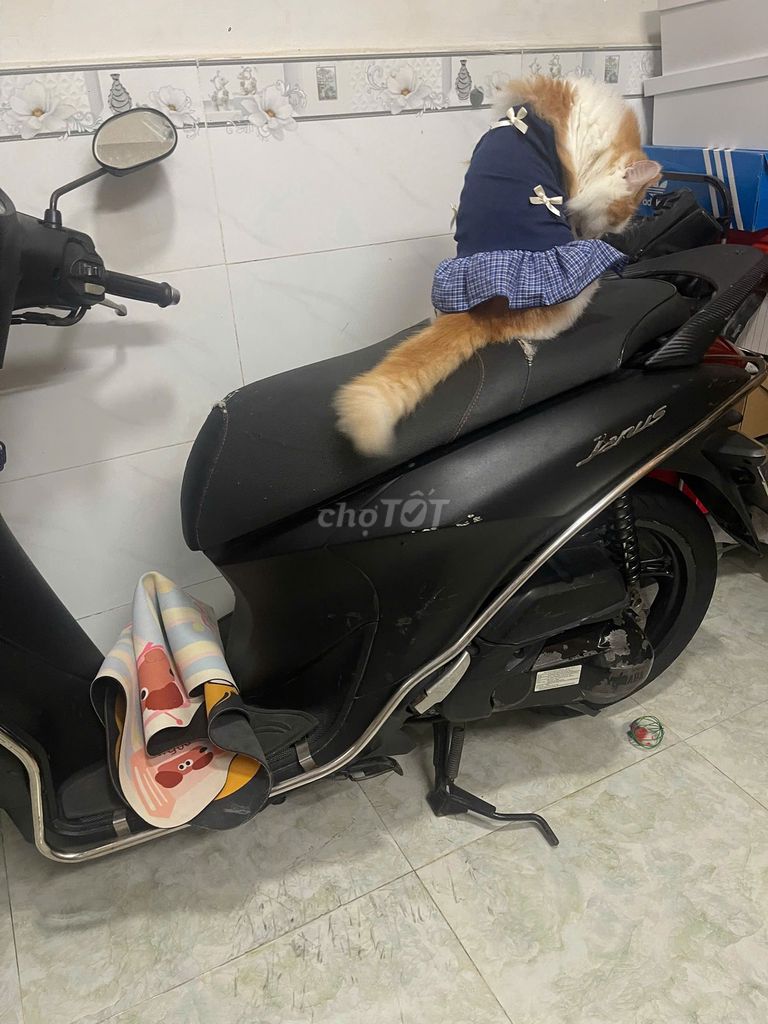 Xe tay ga Yamaha Janus 2017 màu đen cũ. Mua bán Xe máy tại Quận Bình Tân Tp Hồ Chí Minh được đăng bởi Trần Ngọc Liên hình 2