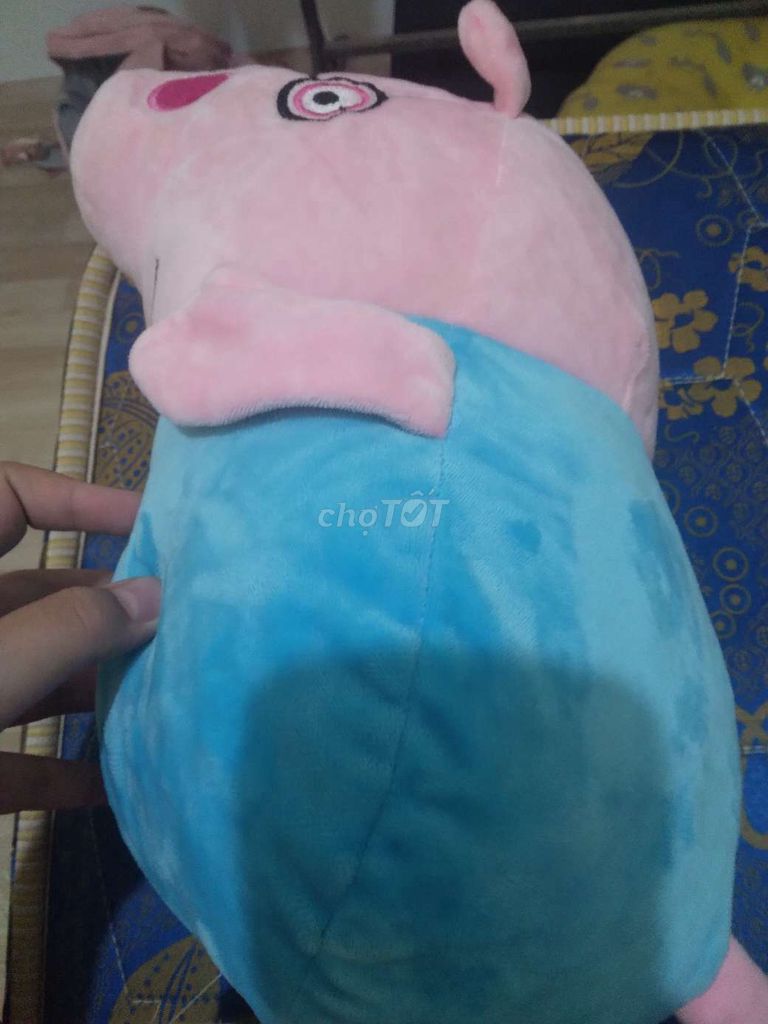 Gấu bông heo