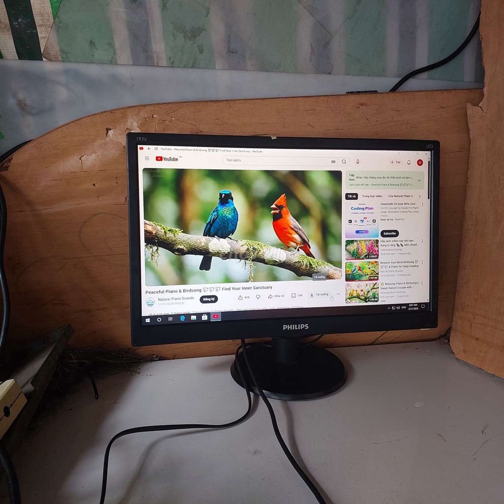 Màn hình Philips LED 19 inch. Mua bán Phụ kiện (Màn hình, Chuột...) tại Quận 11 Tp Hồ Chí Minh được đăng bởi hb computer hình 1