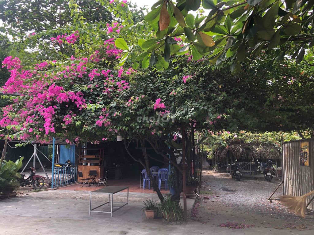 Cần sang quán ăn sân vườn ngay ngã tư Nguyễn Cửu Phú với Trần Văn Giàu
