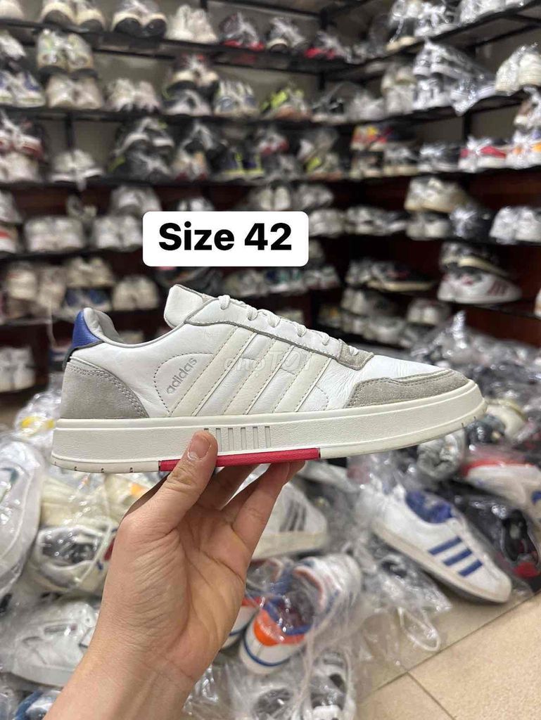 adidas neo courtmaster quá ngon luôn ae ơi 📍