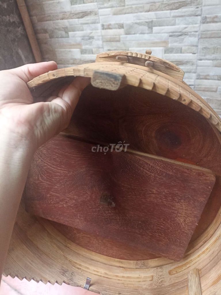Hoạ mi trống