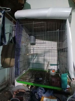 Lồng chim kim loại 40x40x60cm. Mua bán Phụ kiện, Thức ăn, Dịch vụ tại Quận Bình Thạnh Tp Hồ Chí Minh được đăng bởi Nguyentam