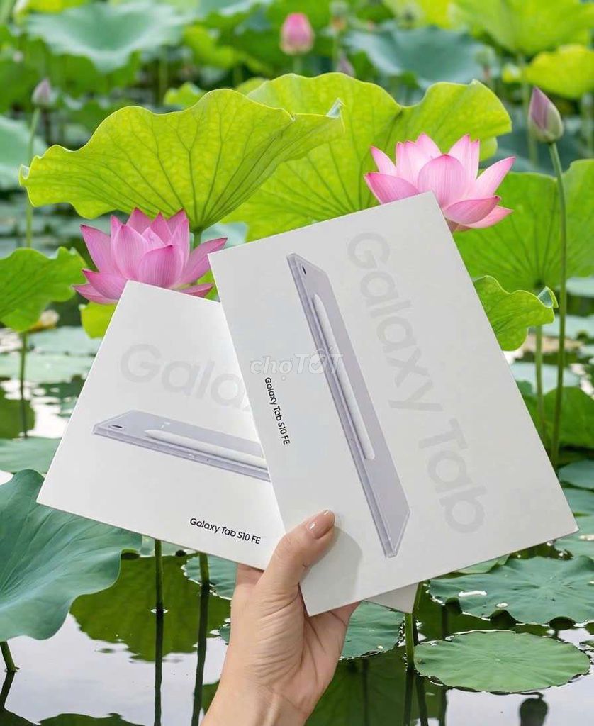 Samsung Galaxy Tab S10 FE 8GB/128GB. Mua bán Máy tính bảng tại Quận 5 Tp Hồ Chí Minh được đăng bởi Lê Hữu Hiếu hình 1