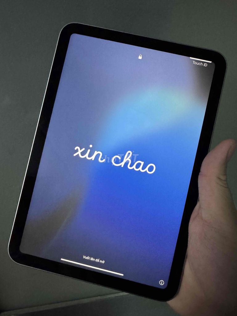 Apple iPad mini 7 128GB Xám. Mua bán Máy tính bảng tại Thành phố Thuận An Bình Dương được đăng bởi Csfsc hình 1