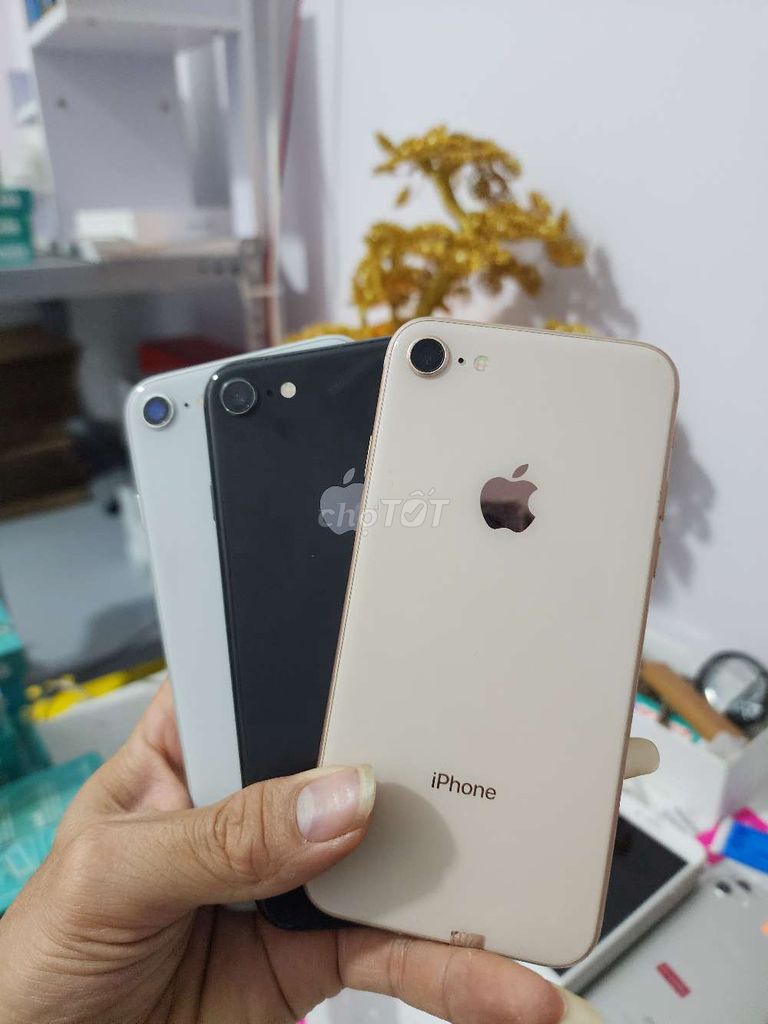 Apple iPhone 8 Quốc tế 64gb màn zin main zin full. Mua bán Điện thoại tại Thành phố Buôn Ma Thuột Đắk Lắk được đăng bởi OPPO LINH ANH 48 LÊ QUÝ ĐÔN BMT hình 1