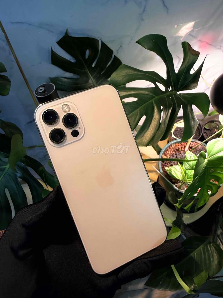 Apple iPhone 12 Pro 128GB vàng. Mua bán Điện thoại tại Thành phố Vũng Tàu Bà Rịa - Vũng Tàu được đăng bởi Monkey Apple hình 1