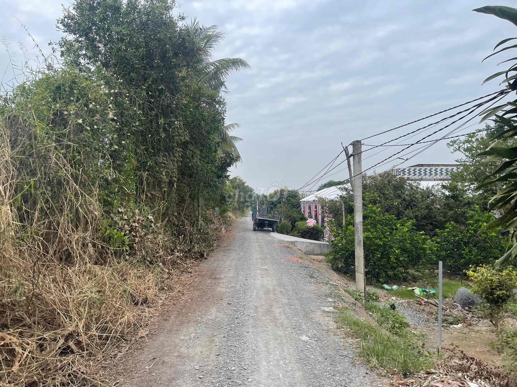 1000m2 đnag trồng chanh và dừa thu hoạch, cách 816 tam 1km đg ô tô. Mua bán đất tại Huyện Bến Lức Long An được đăng bởi Phan Anh Khoa hình 2