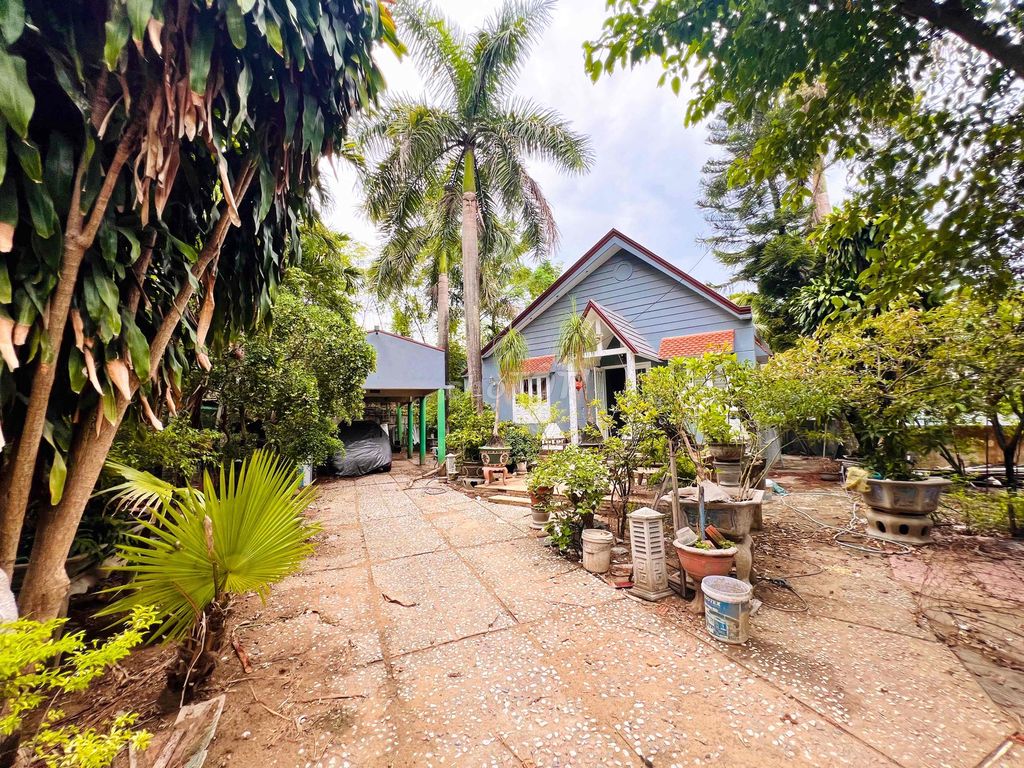Rent · 6 bd · 1000 м² · Quận Ngũ Hành Sơn, ул. Đường Bà Bang Nhãn