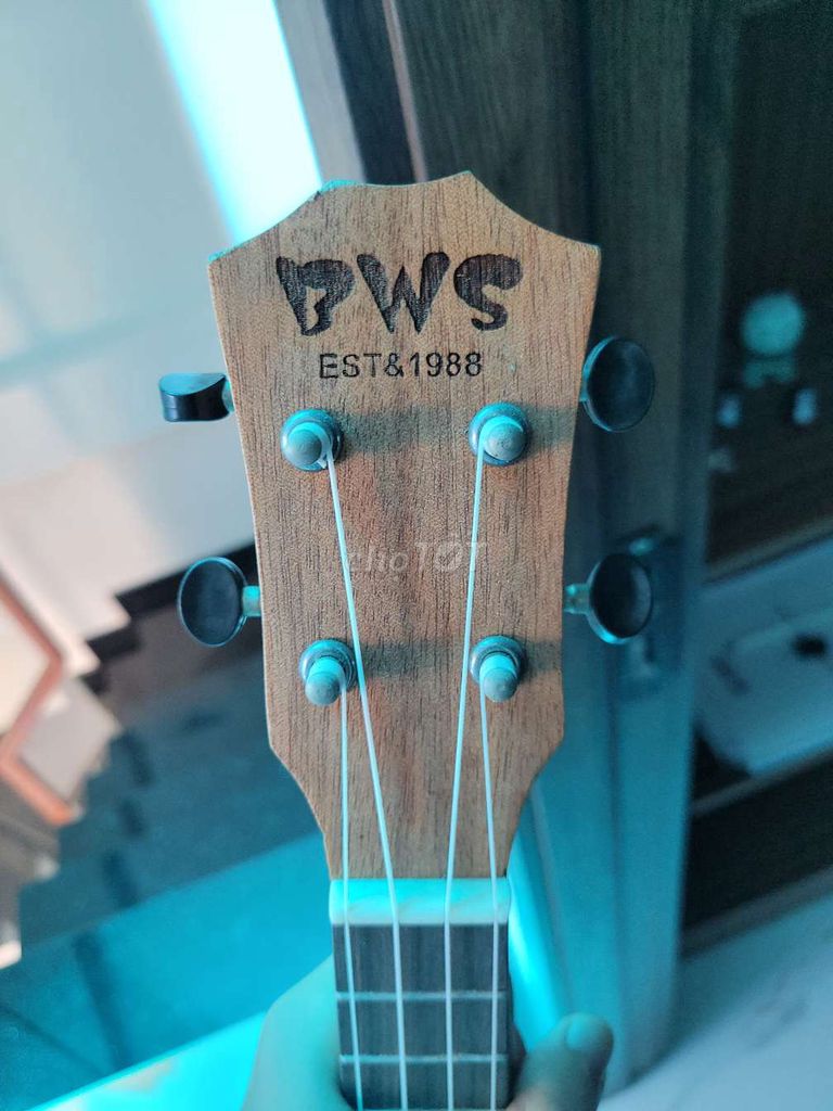 UKULELE BWS CONCERT gỗ 23inch (fix cho ai ở gần)