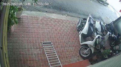 Xe SH to nặng chật. muốn đổi sang xe điện. Mua bán Xe máy tại Huyện Thanh Trì Hà Nội được đăng bởi trang