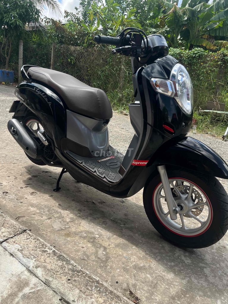 scoopy bỏ mẫu