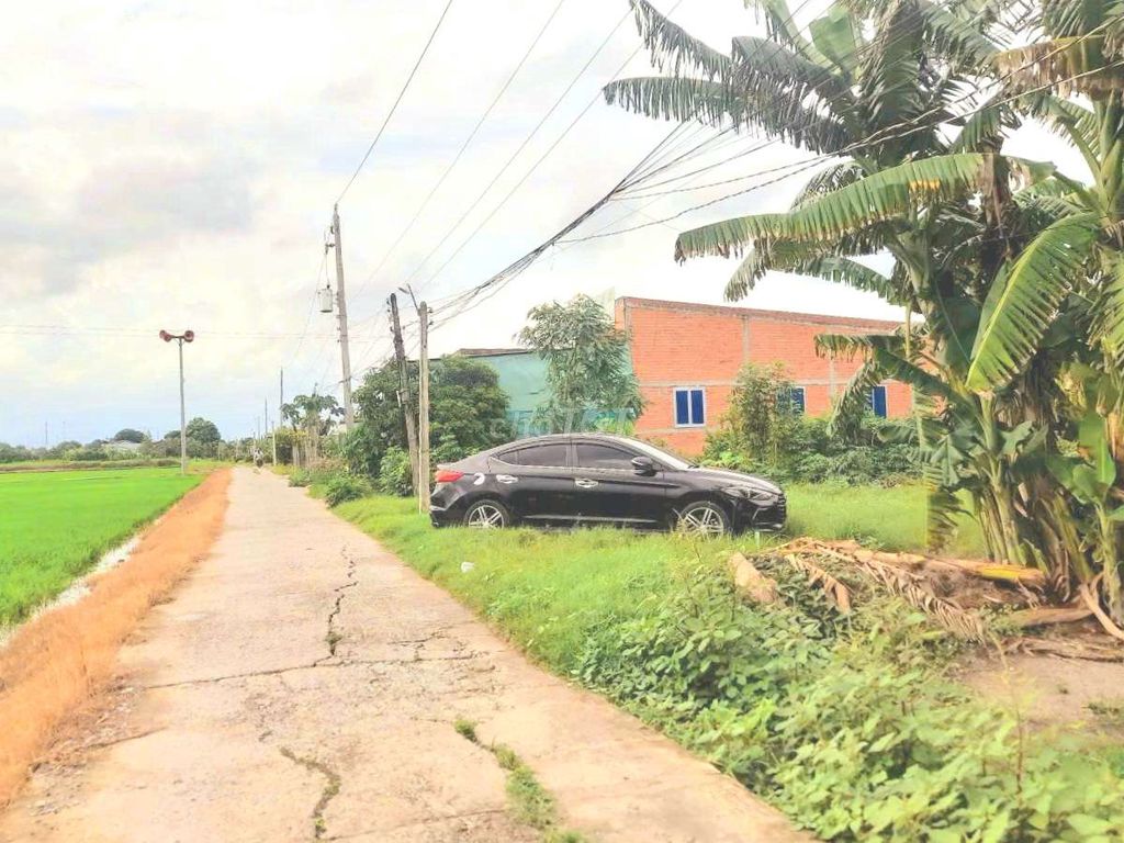 Hàng thơm, chỉ 2 tỷ sở hữu 1000m2 đất có 450m2 thổ cư cực đẹp. Mua bán đất tại Huyện Tân Trụ Long An được đăng bởi Thanh Hùng hình 2